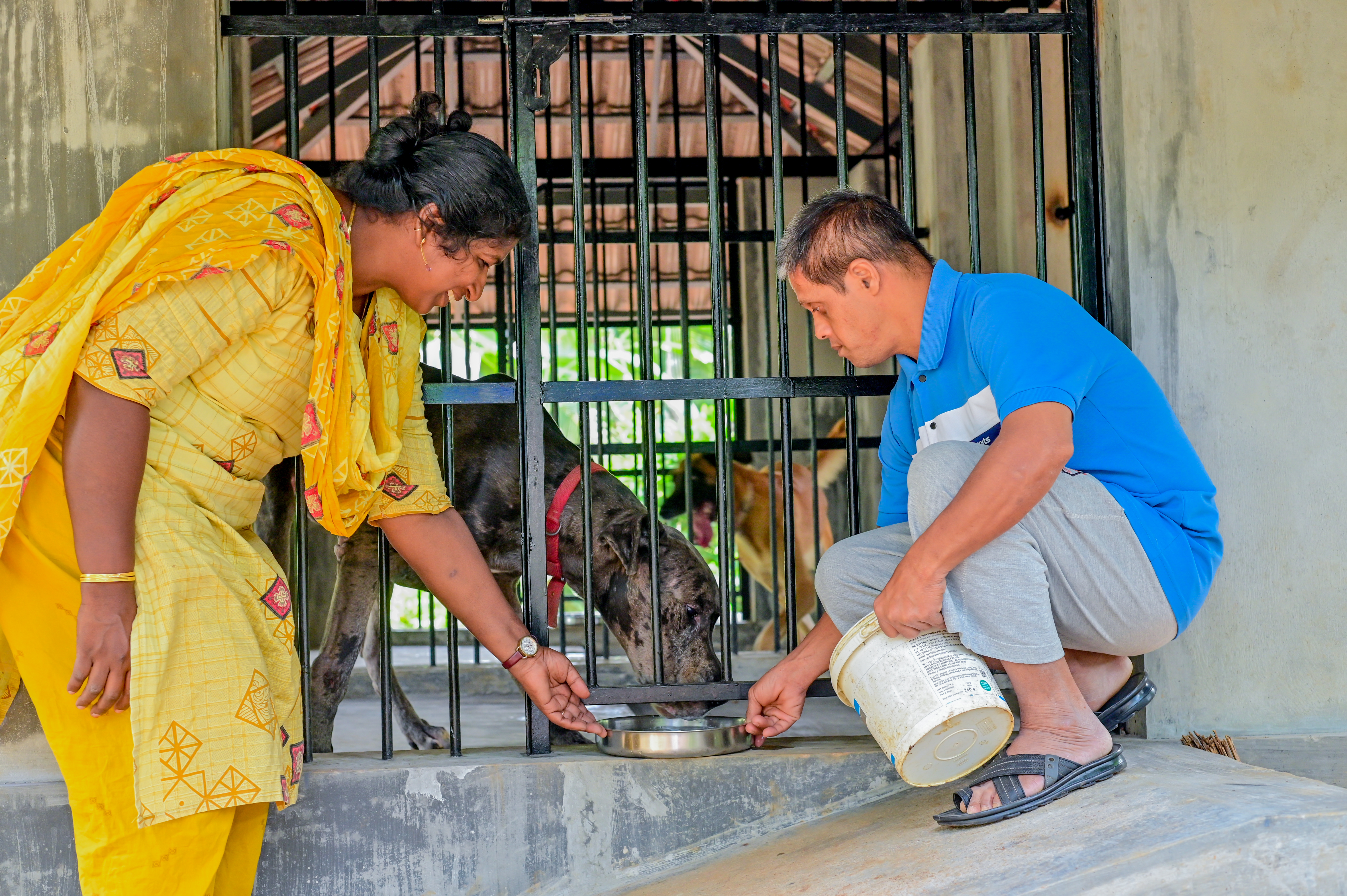 Pets Caring Services