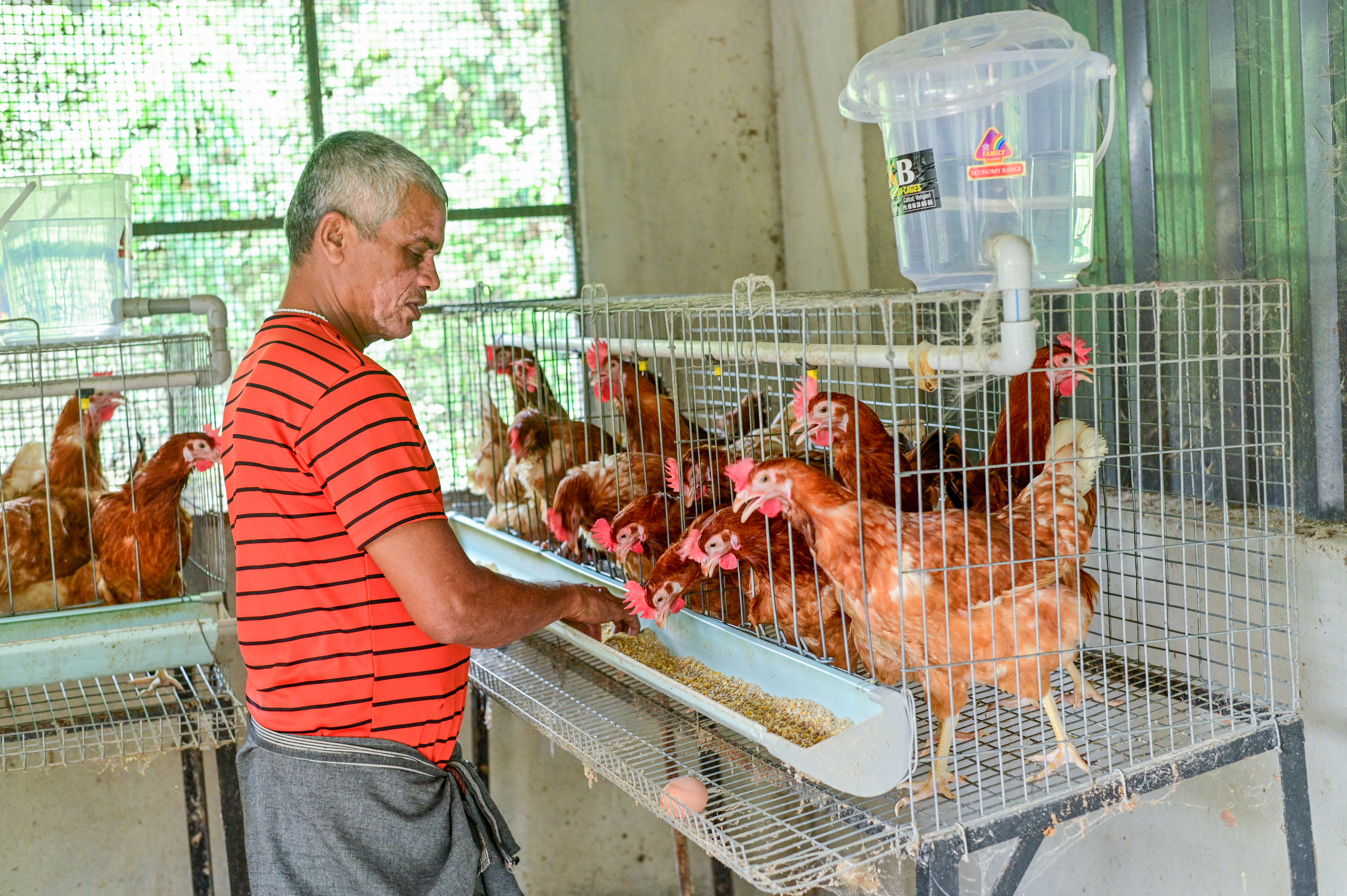 Poultry Farming Services