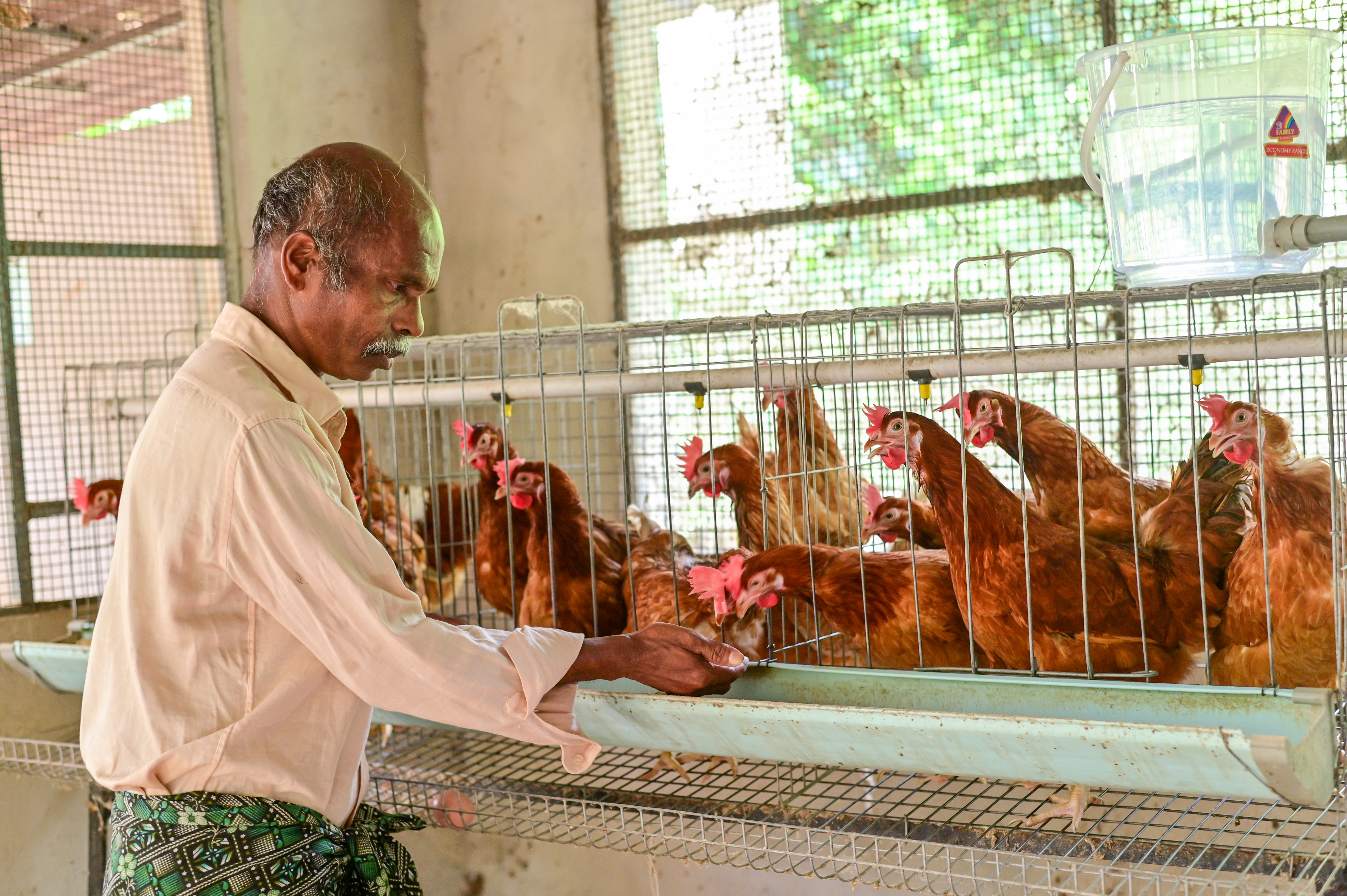 Poultry Farming Services